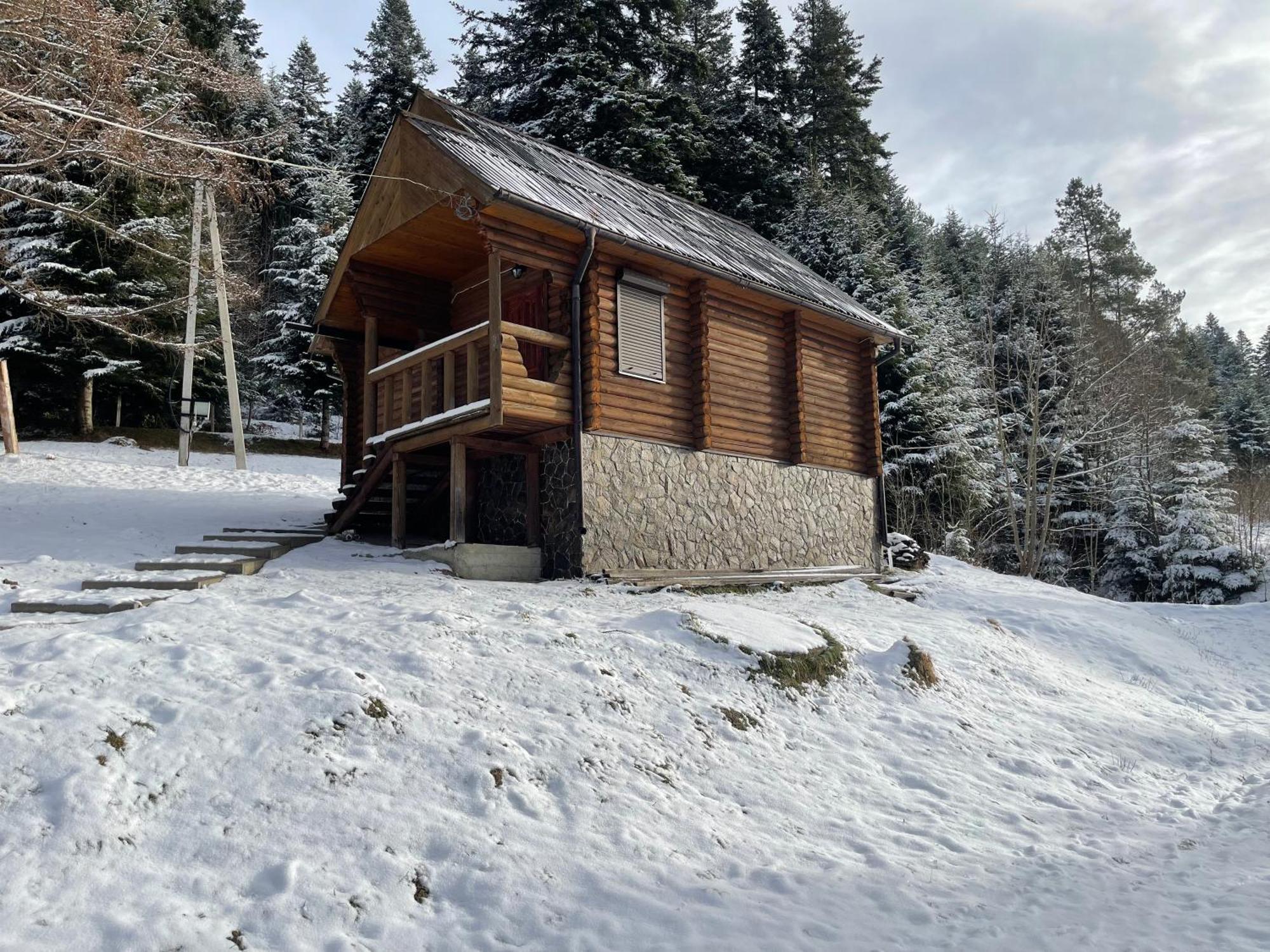 Villa Karpatskyy Rozluch Exterior foto